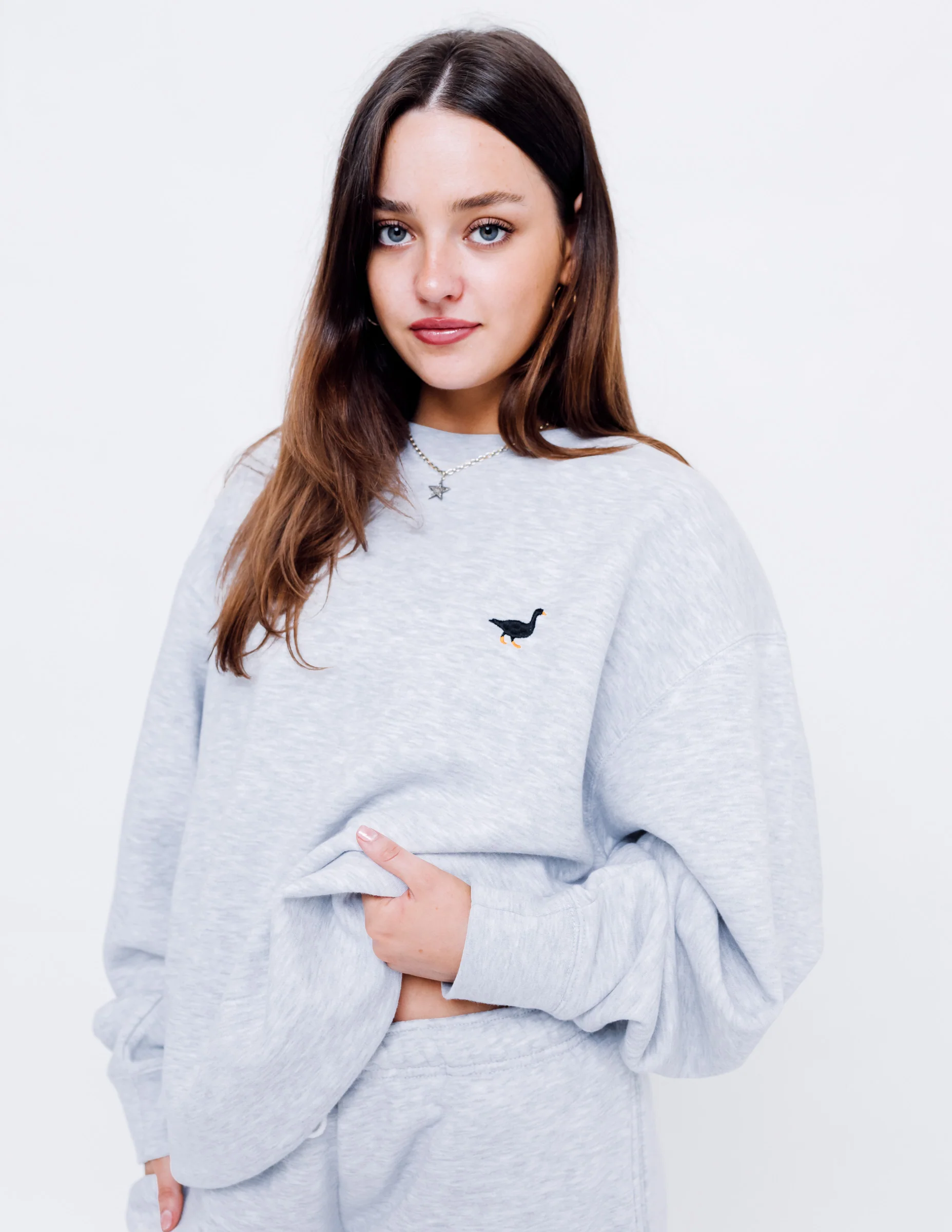 Premium Goose Sweatshirt - Ash Grey - Image 5