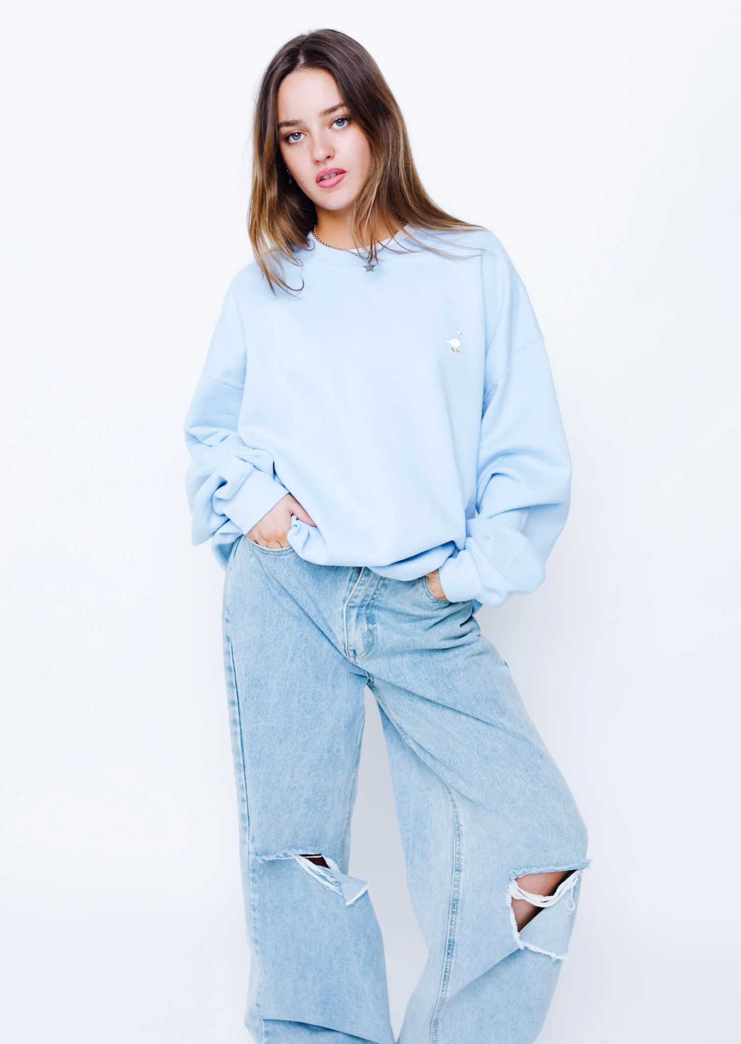 Goose Sweat - Baby Blue - Image 3