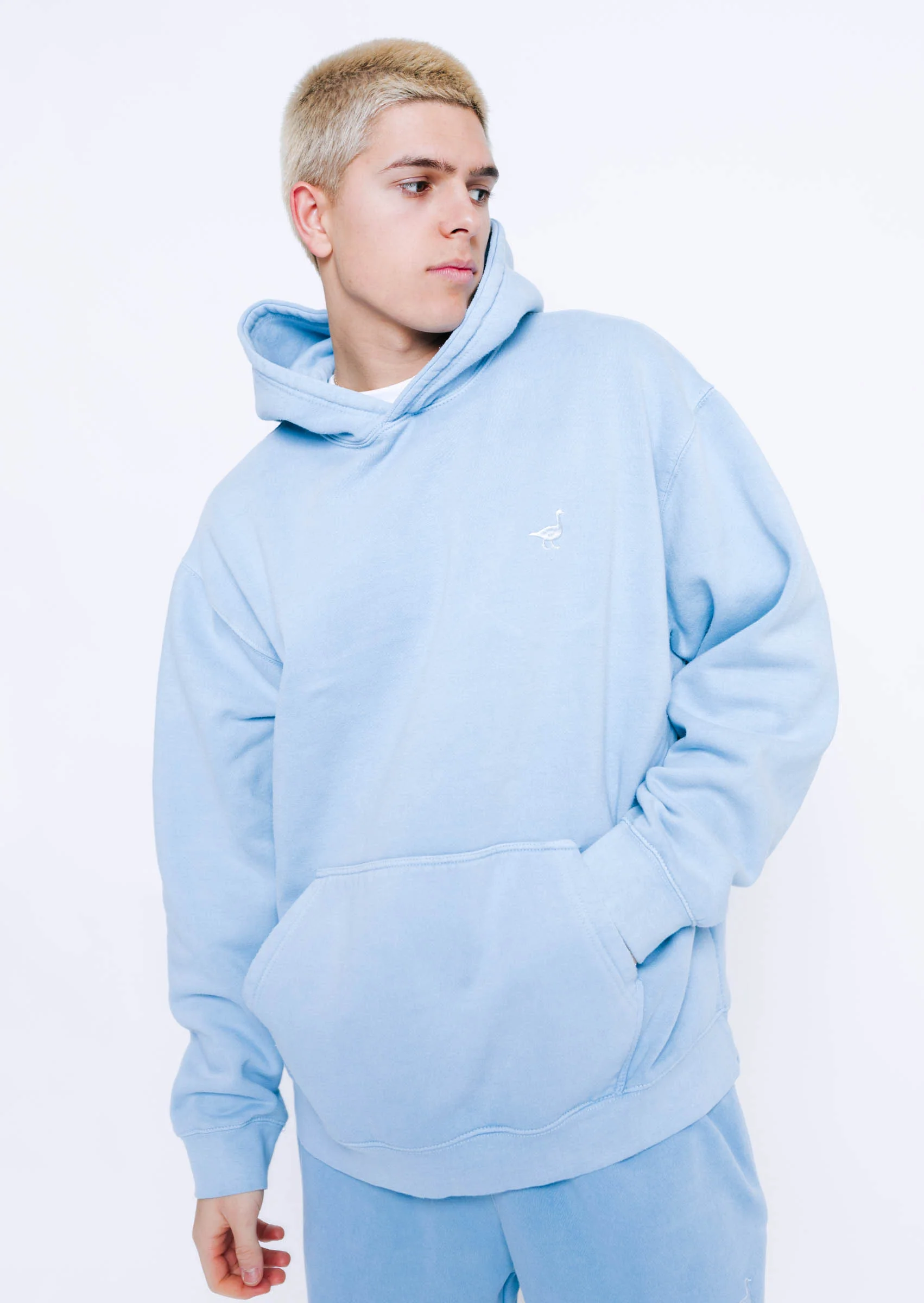 Goose Hoodie - Washed Blue - Image 11