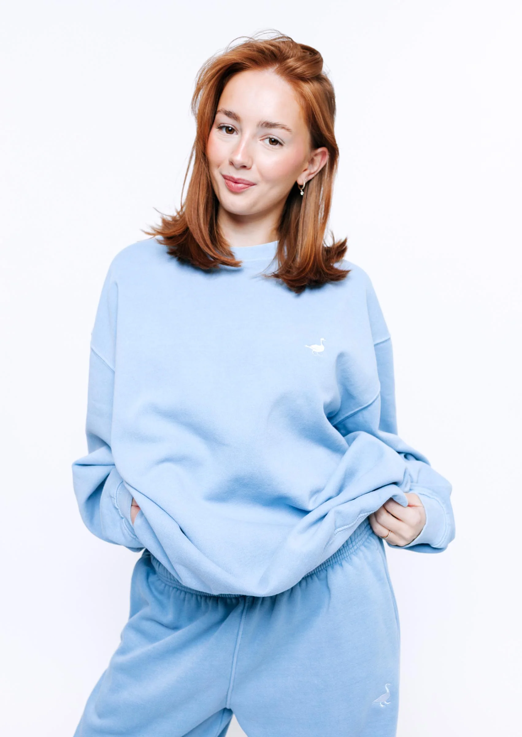Goose Sweatshirt - Washed Blue - Image 5