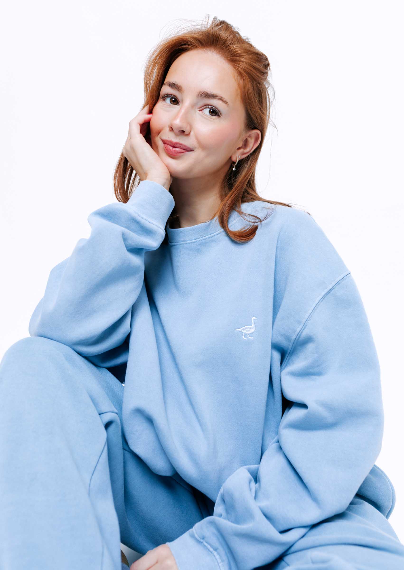 Goose Sweatshirt - Washed Blue - Image 8