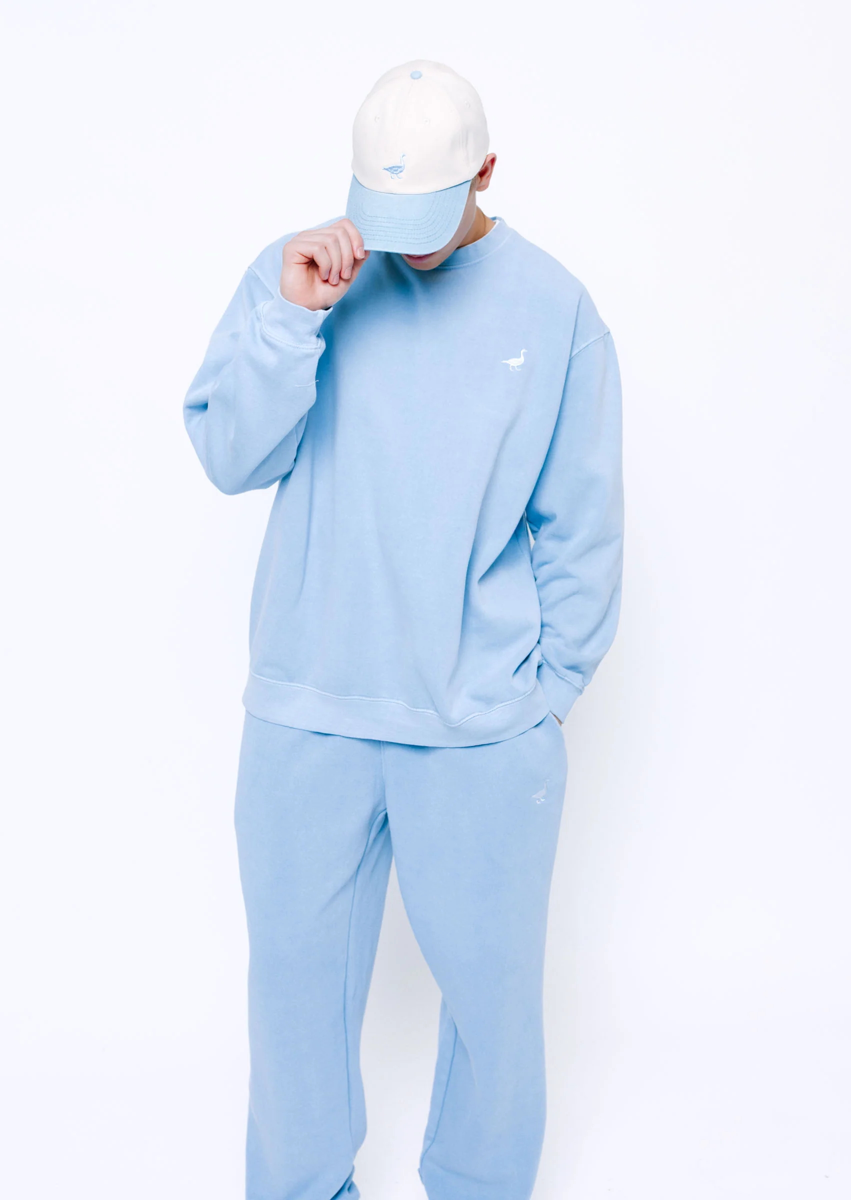 Goose Two-Tone Cap - Vintage Blue/White - Image 4