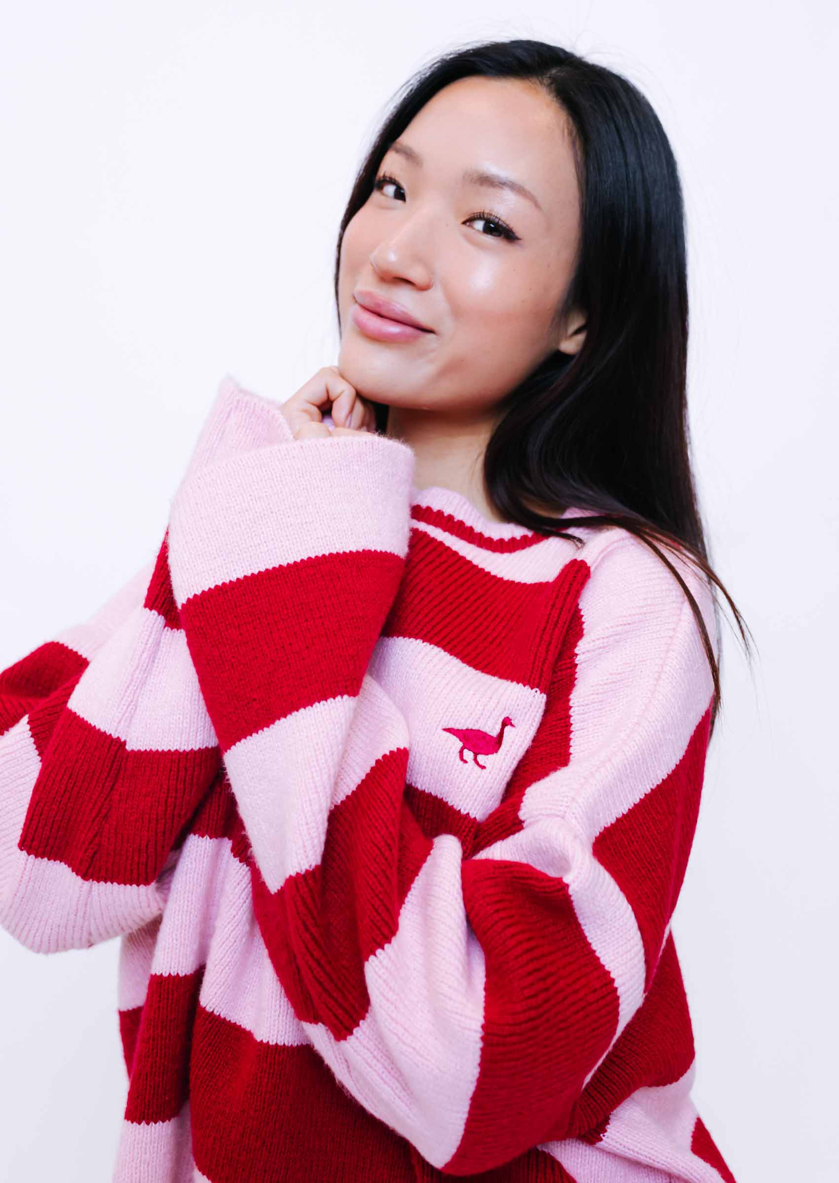 Knitted Striped Goose Sweatshirt - Image 3